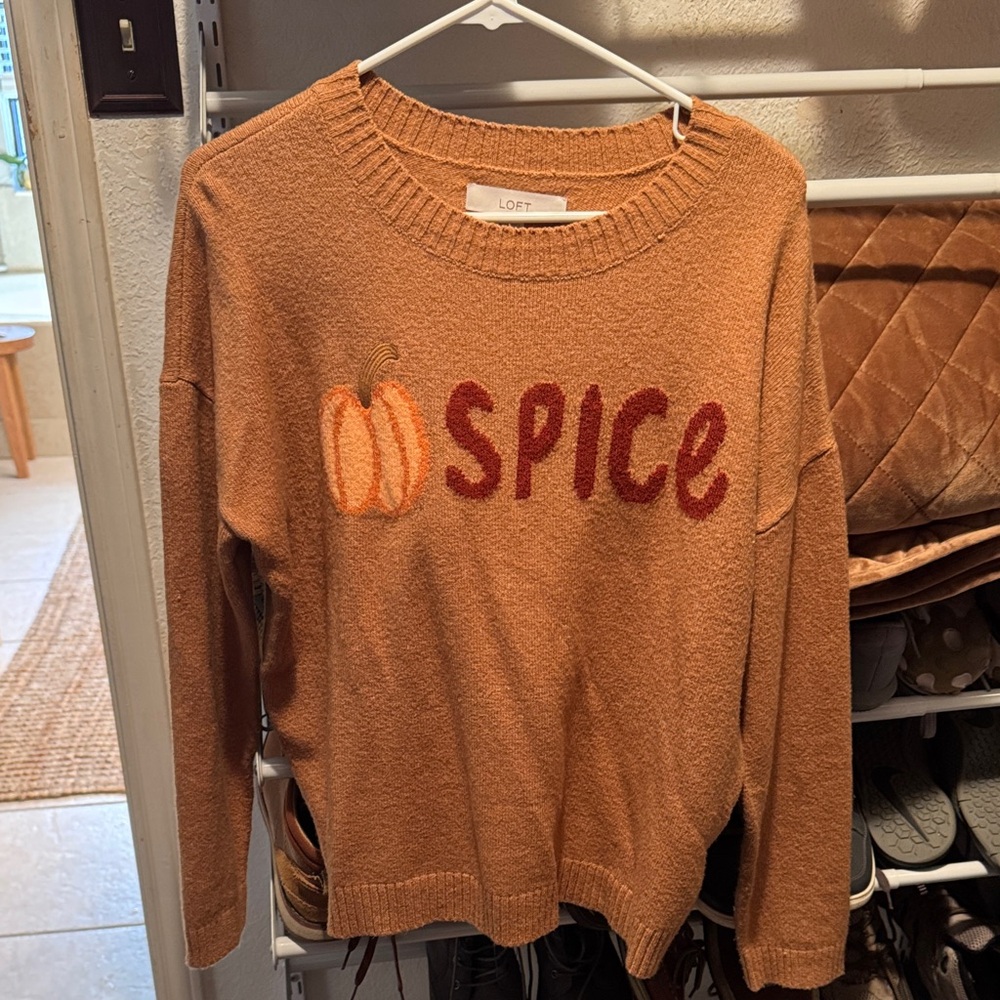LOFT Pumpkin Spice Sweater
